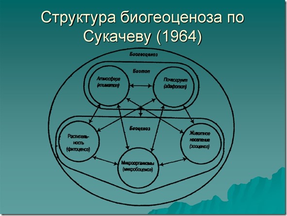 Сукачев_биогеоценоз