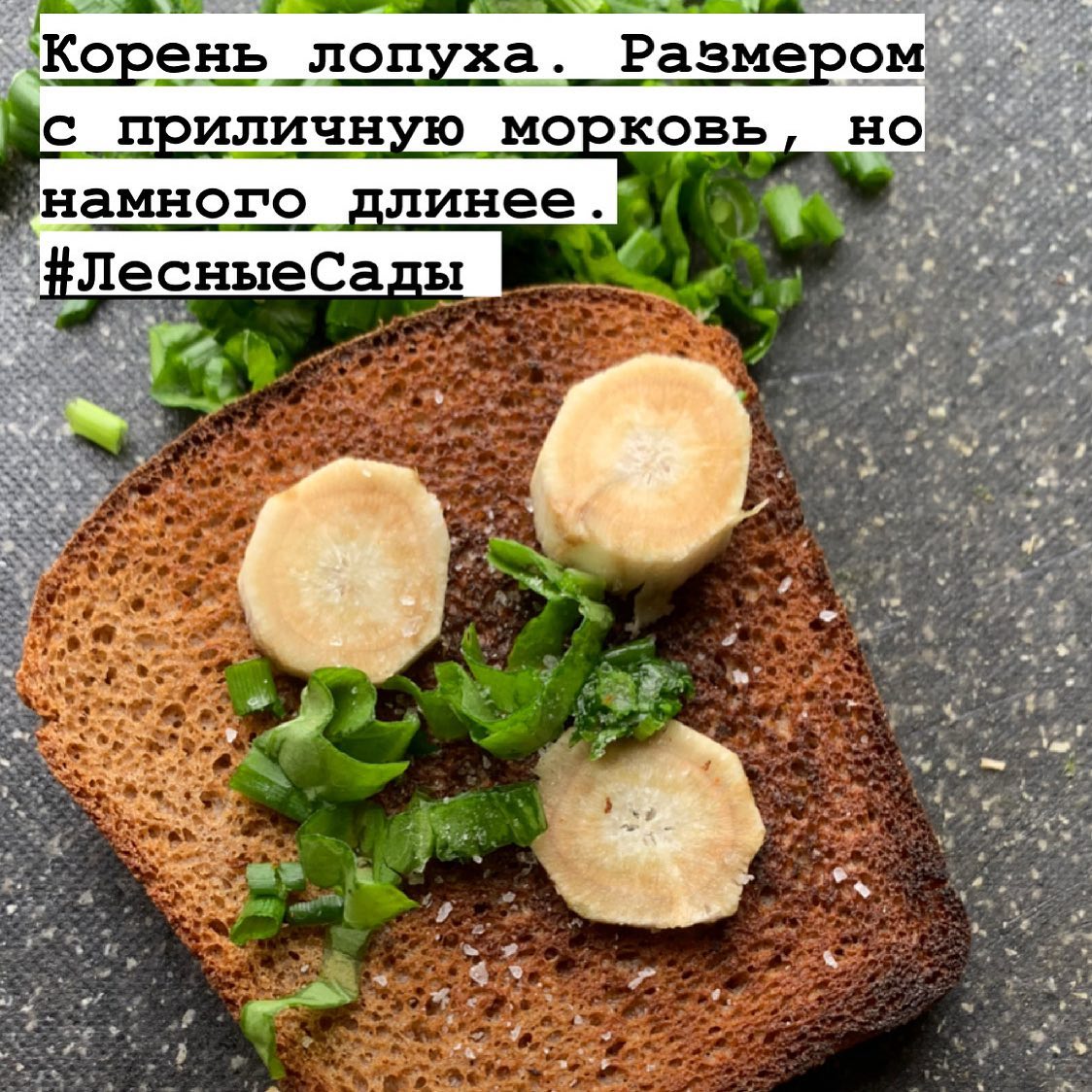 Корень лопуха | Мегаполис и деревня