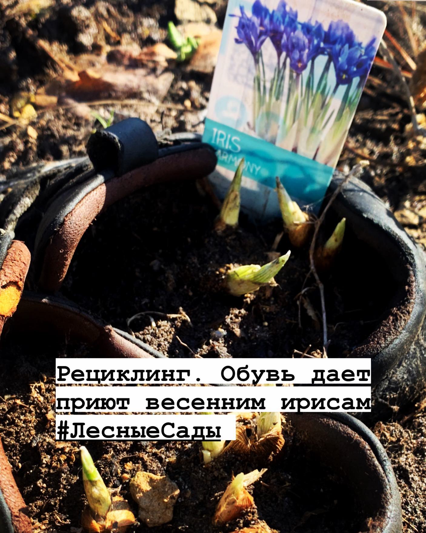 Рециклинг | Мегаполис и деревня