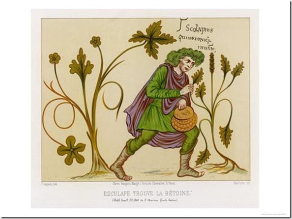 asclepius-the-greek-god-of-medicine-discovers-the-magical-plant-betony