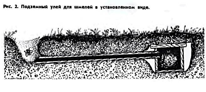 Дом для шмелей своими руками чертежи