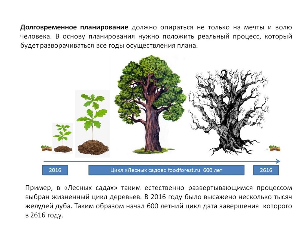 Долговременный план это