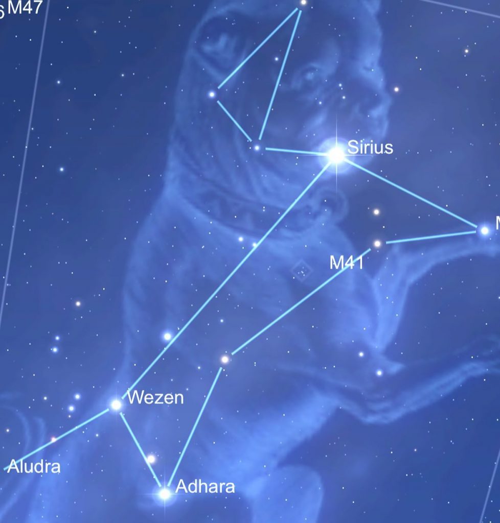 Сириус звезда на небе (48 фото)